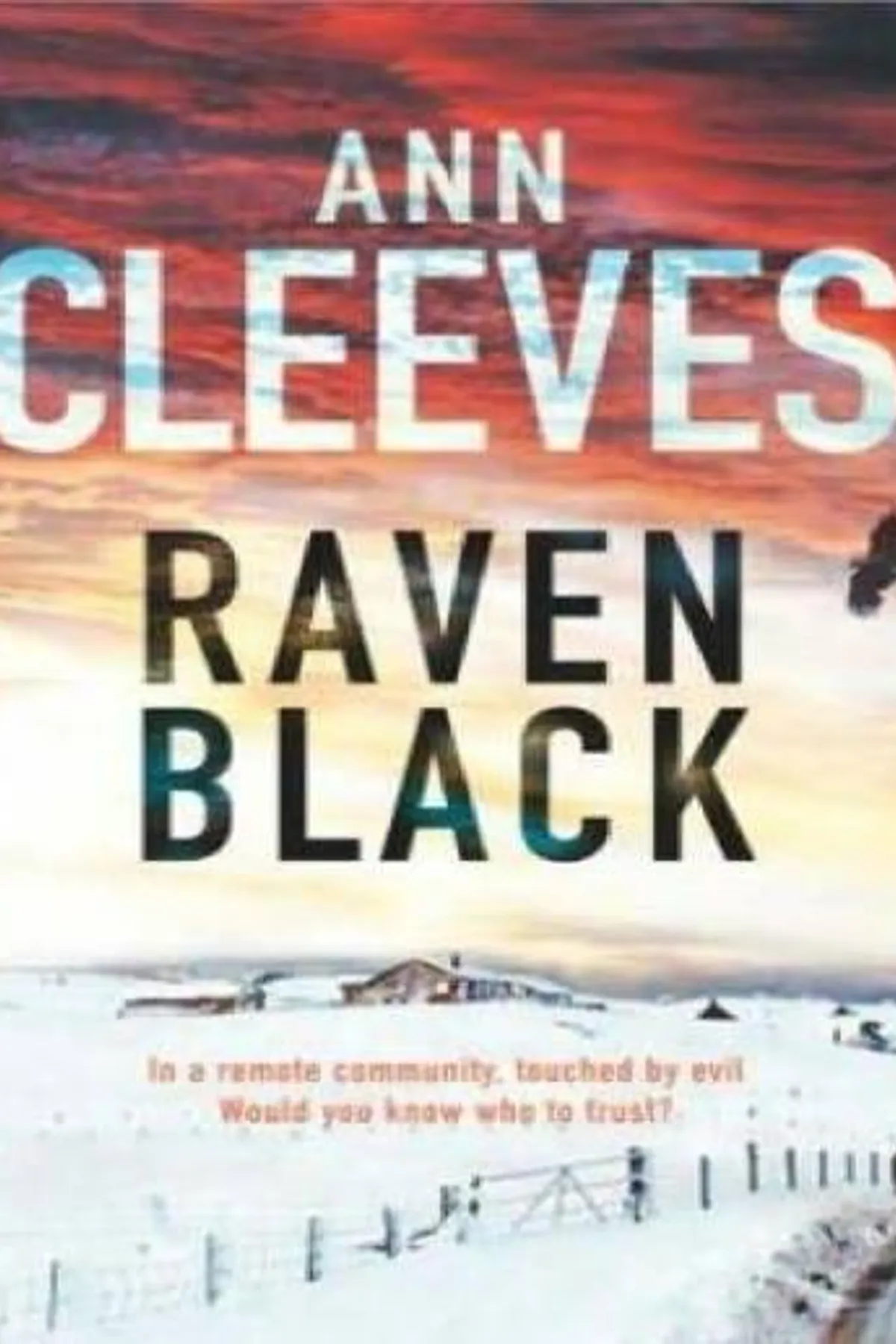 Couverture de « Raven Black »