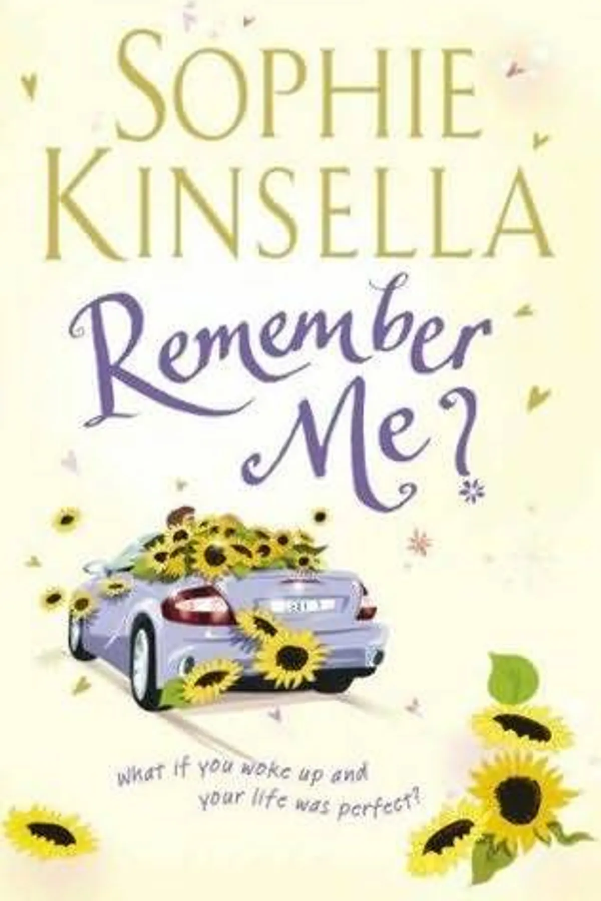 Couverture de « Remember Me? »