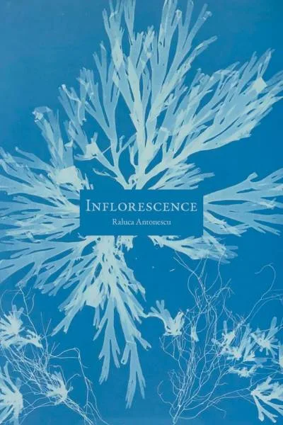Couverture de « Inflorescence »