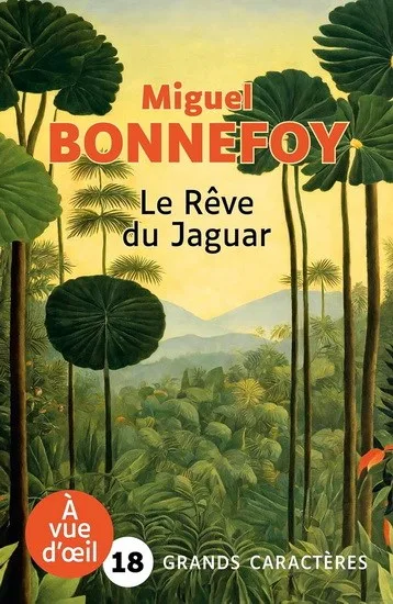 Couverture de « Le rêve du jaguar »