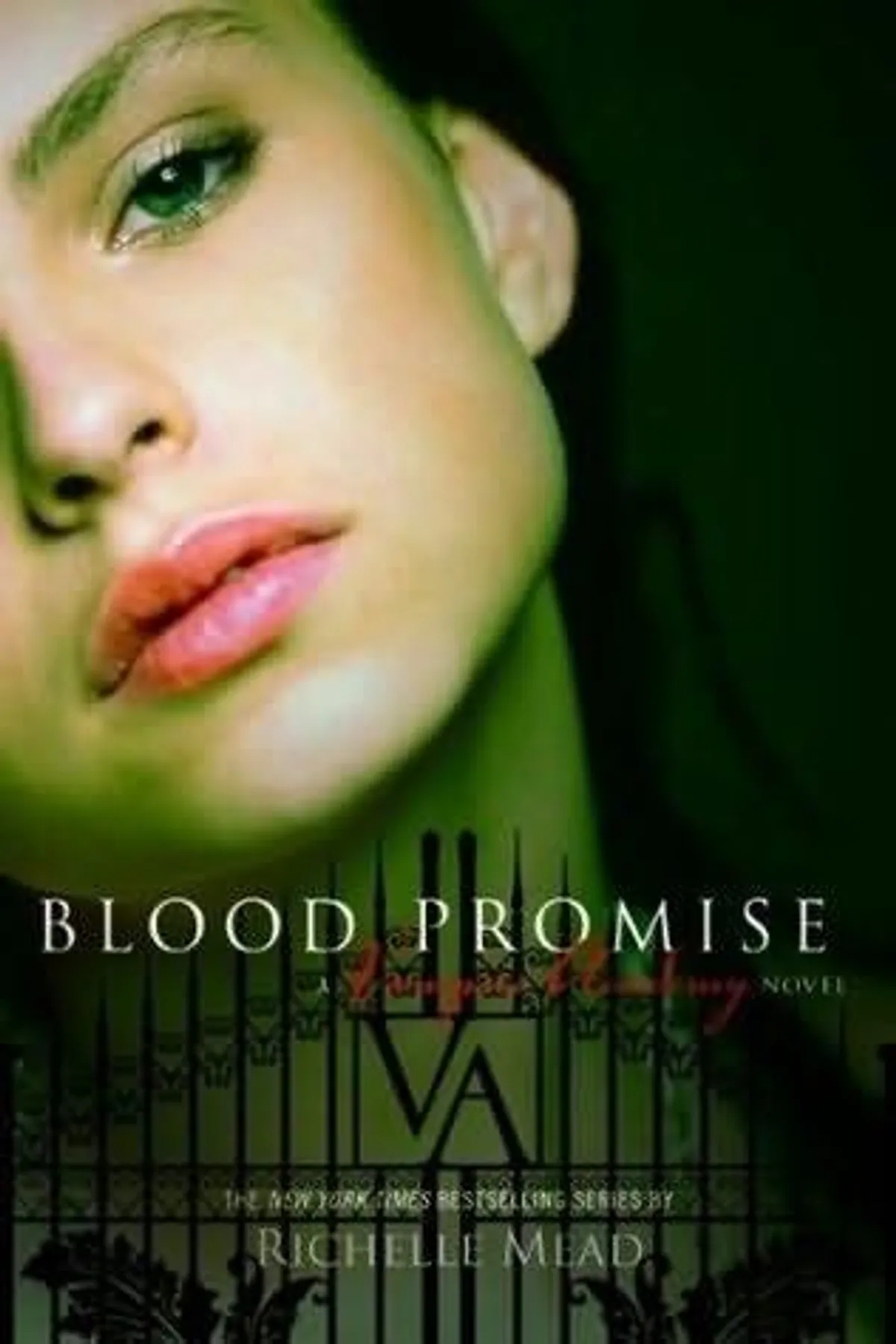Couverture de « Richelle Mead - Vampire Academy 04 »