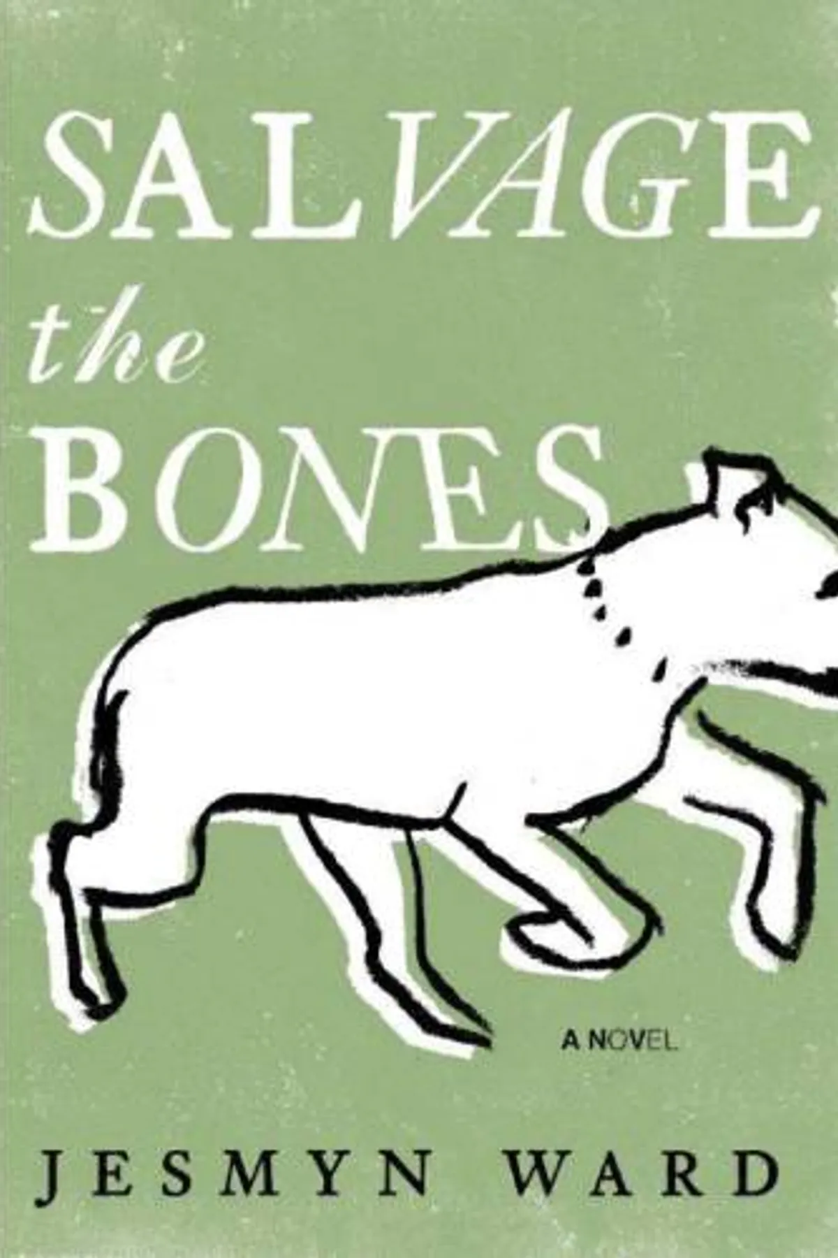 Couverture de « Salvage the Bones »