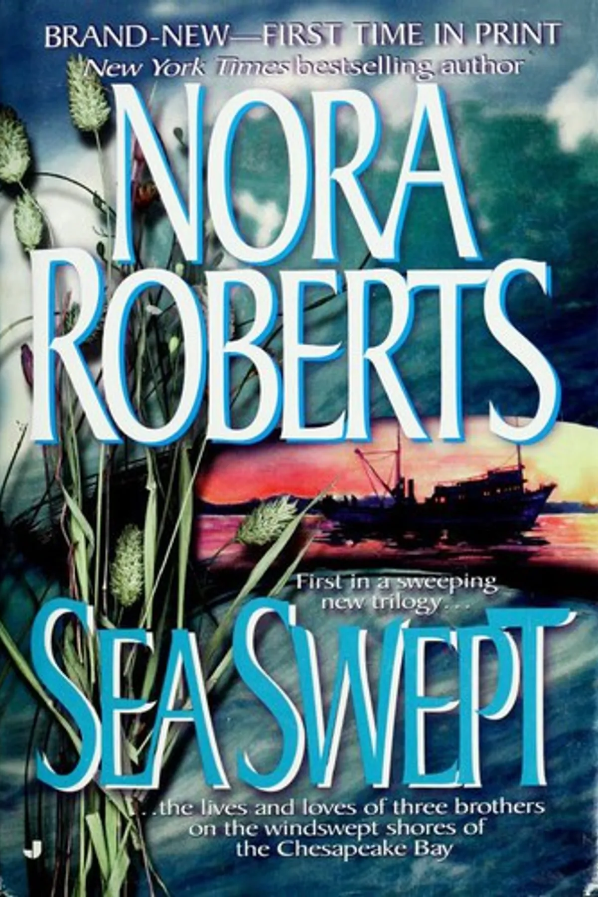 Couverture de « Sea Swept »