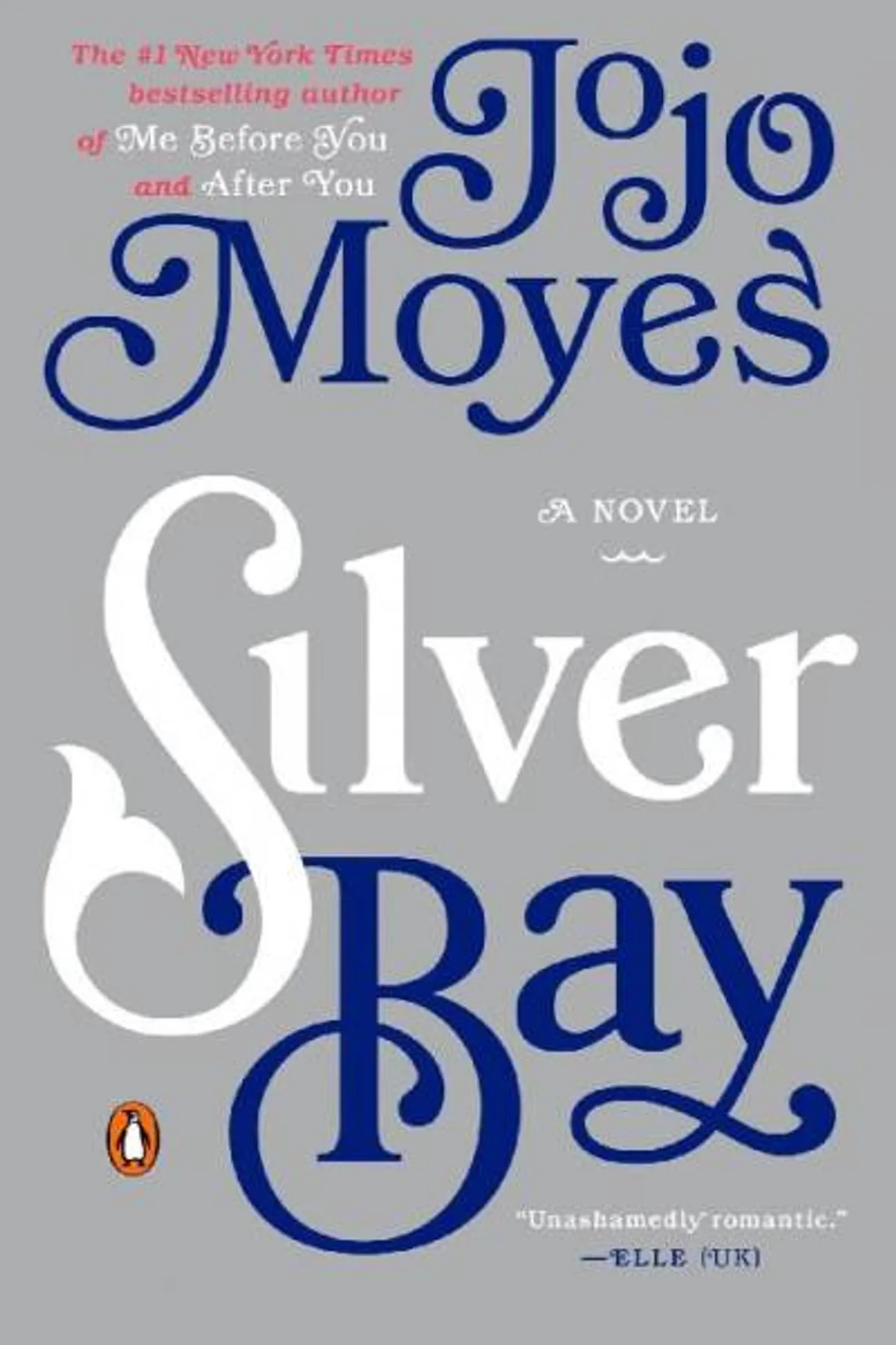Couverture de « Silver Bay »