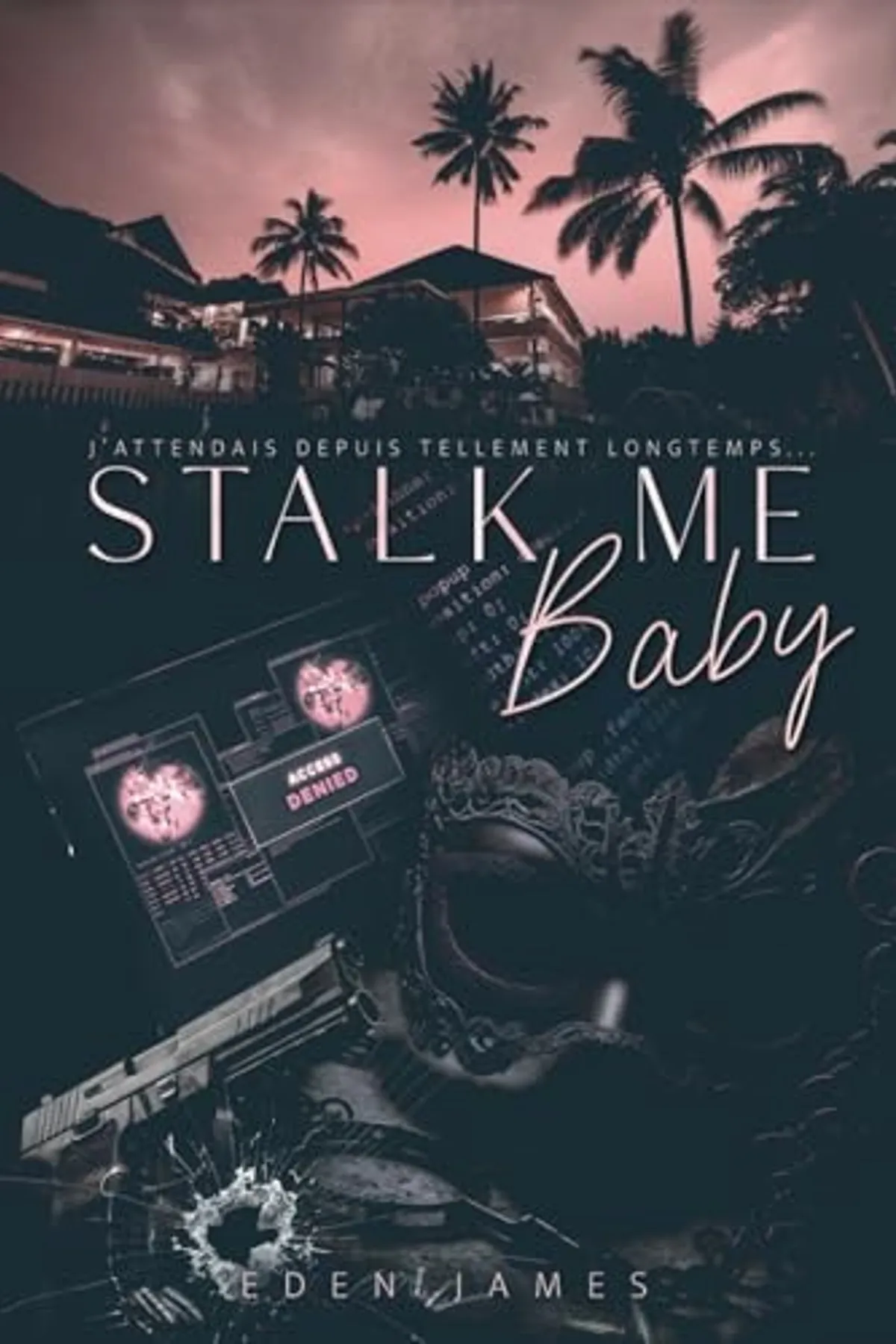 Couverture de « Stalk-me Baby »