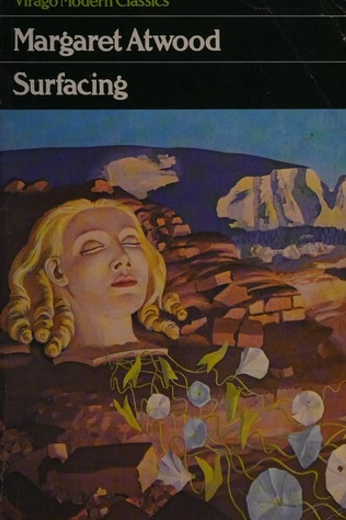 Couverture de « Surfacing »