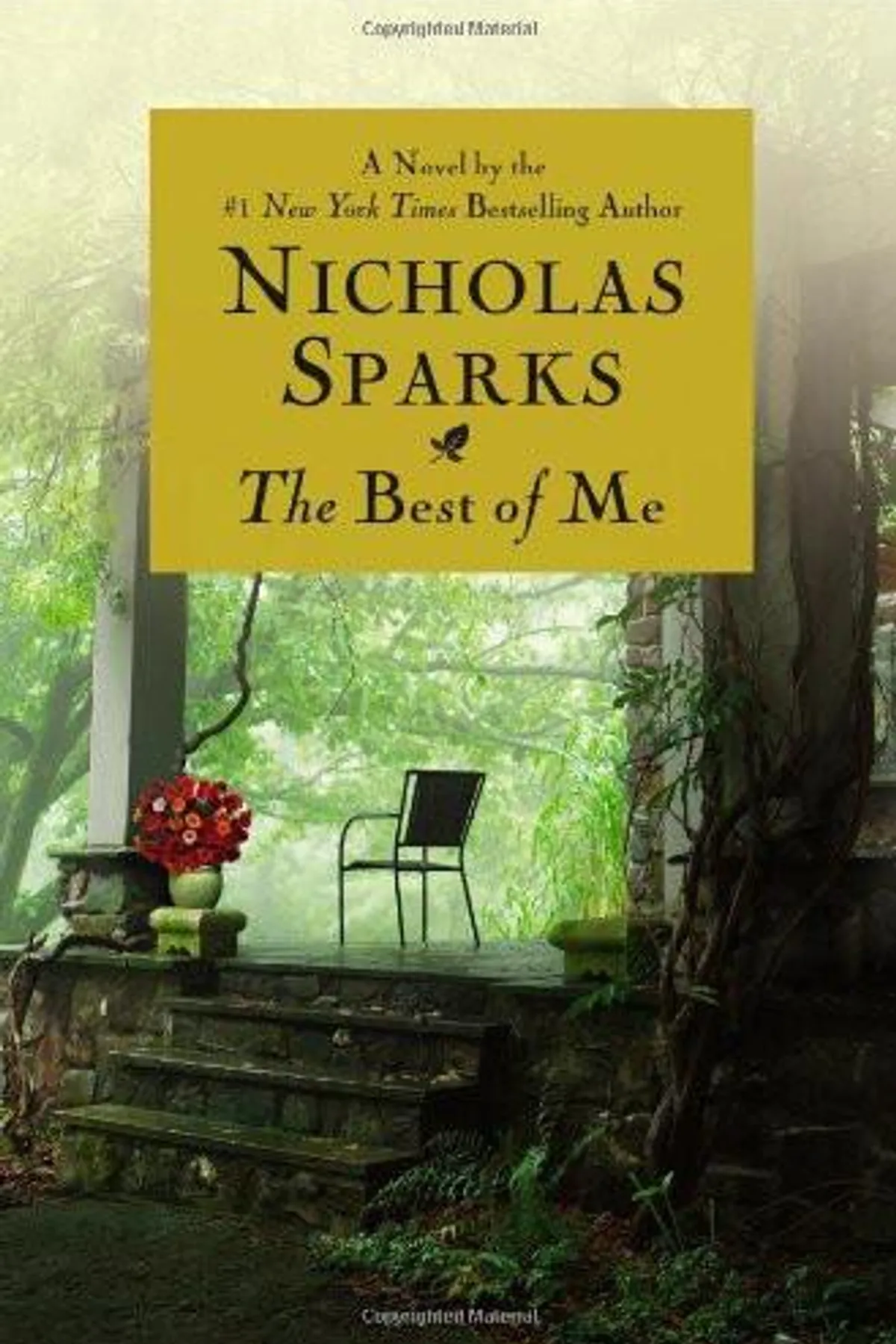 Couverture de « The Best of Me »