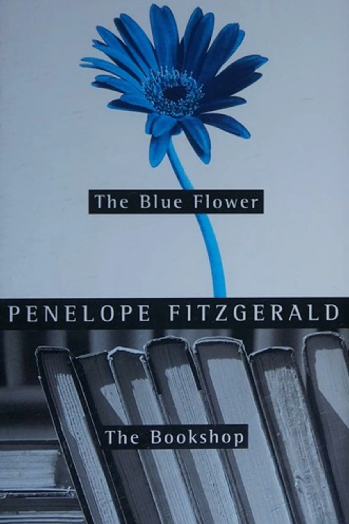 Couverture de « The Blue Flower »