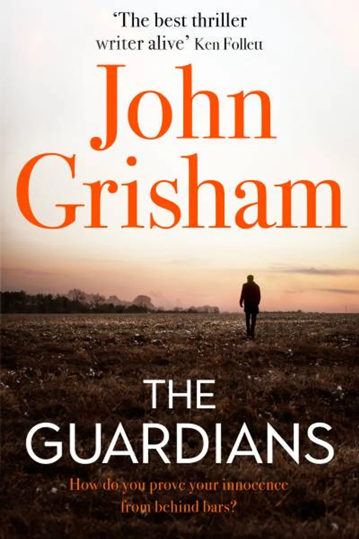 Couverture de « The Guardians »