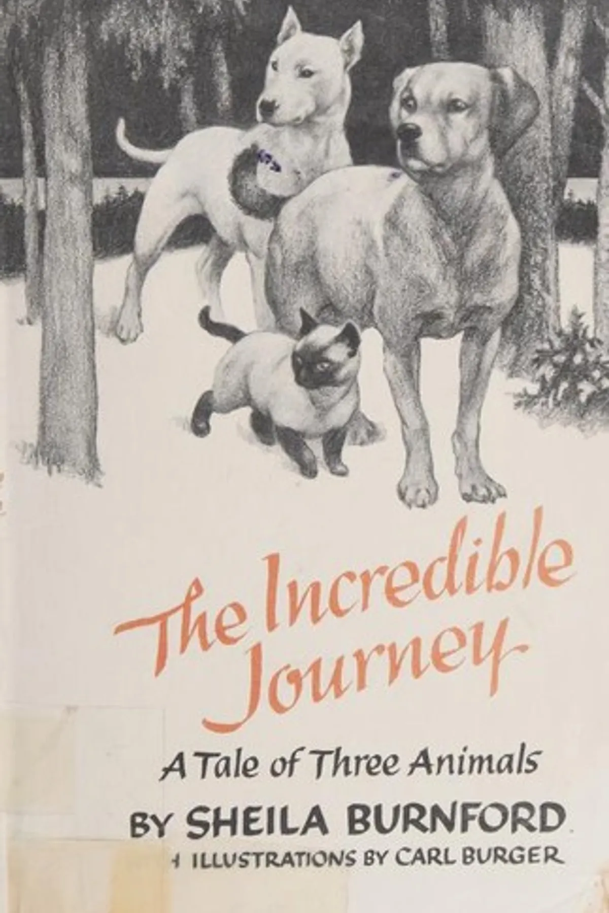 Couverture de « The Incredible Journey »