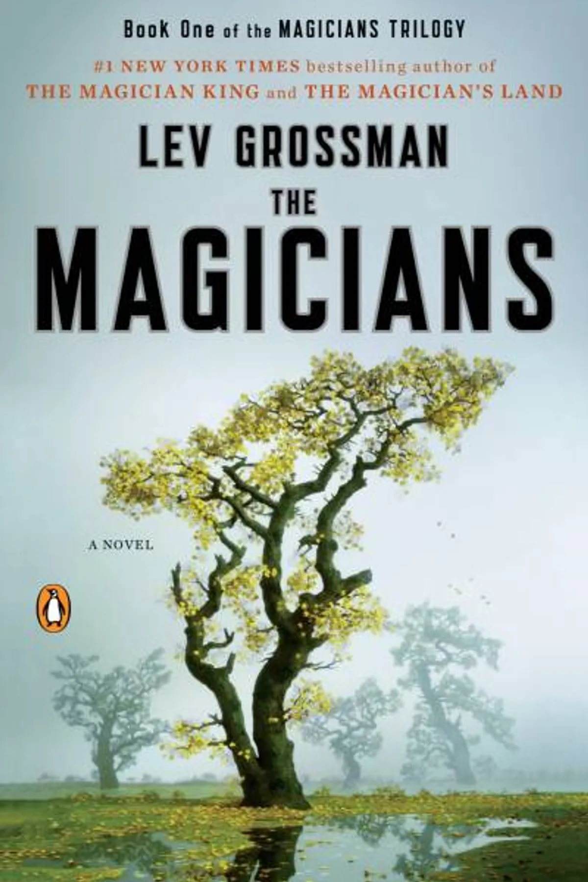 Couverture de « The Magicians »