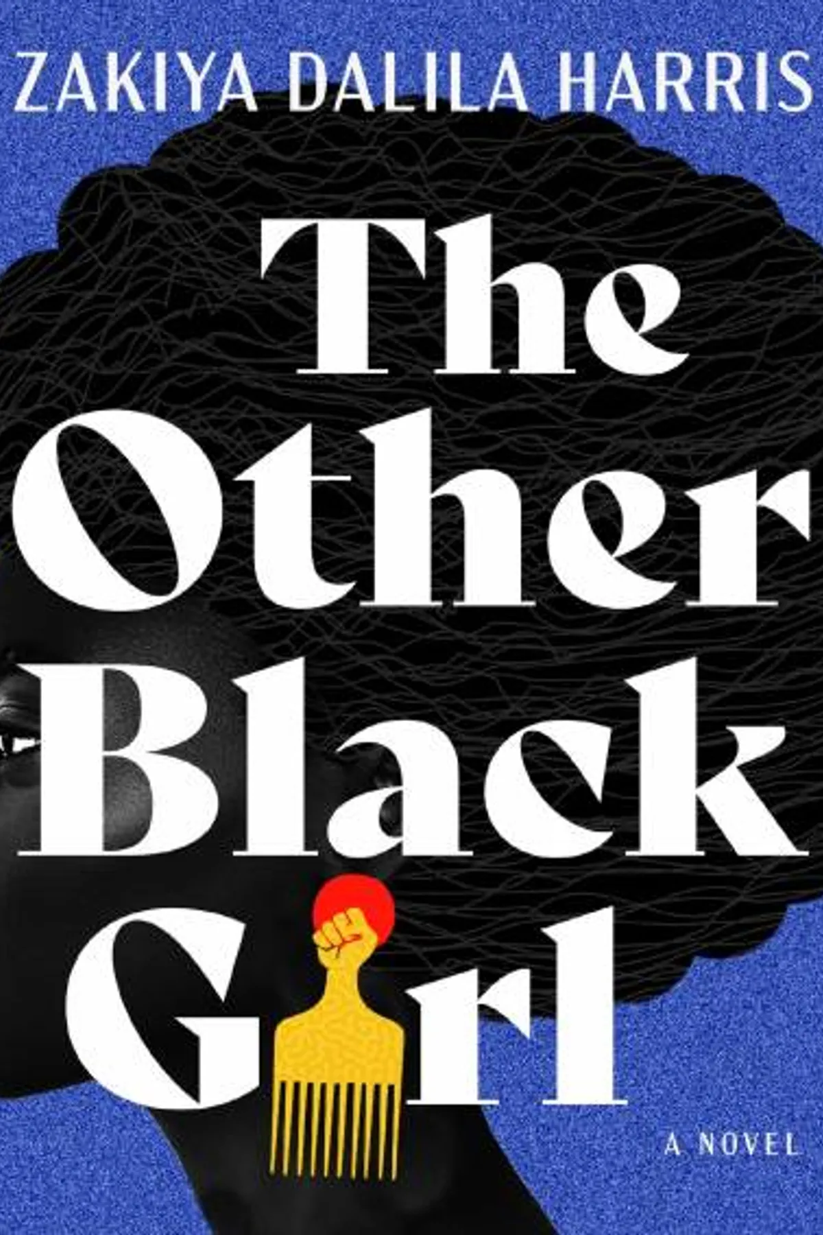 Couverture de « The Other Black Girl »