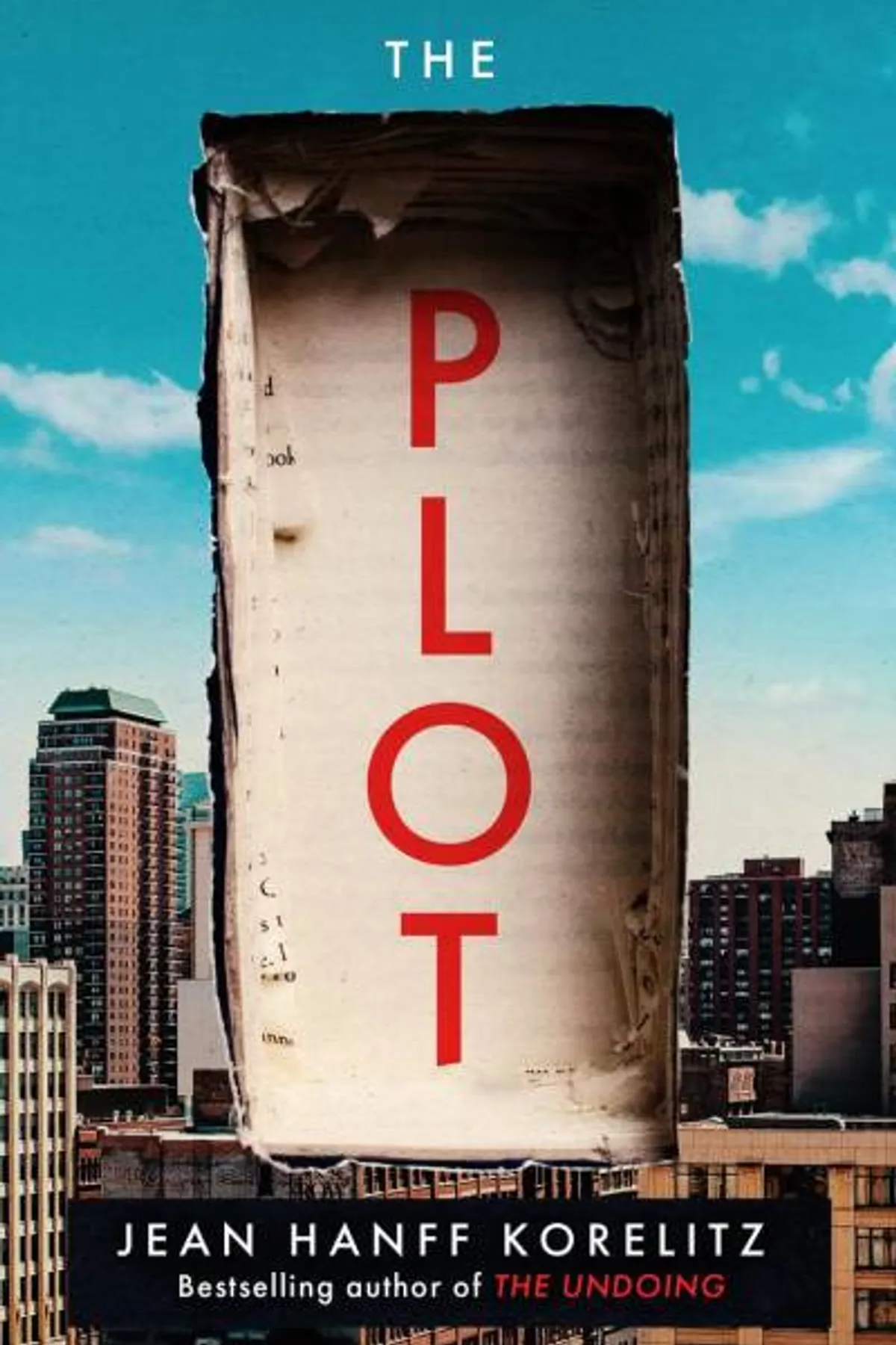 Couverture de « The Plot »