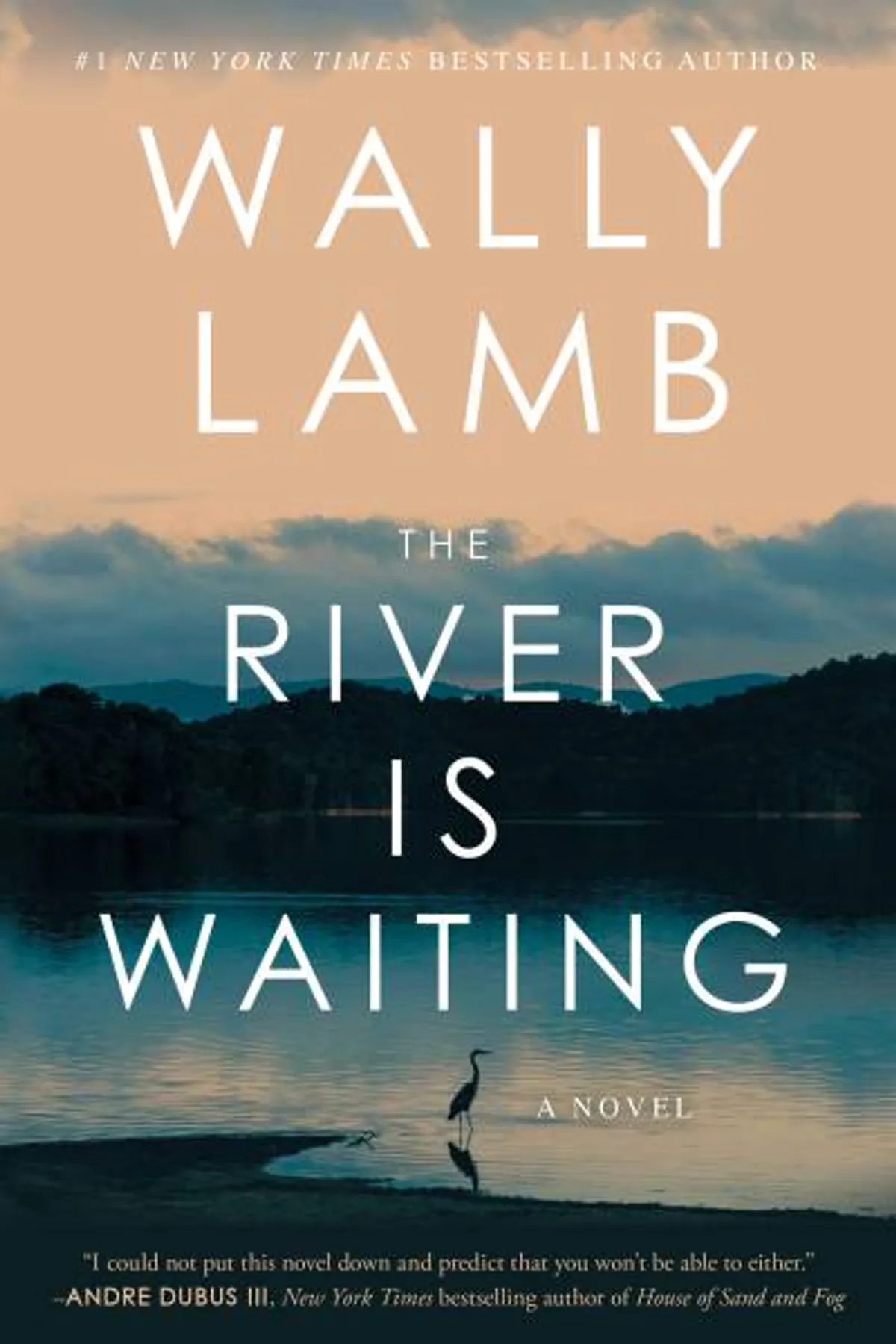Couverture de « The River is Waiting »