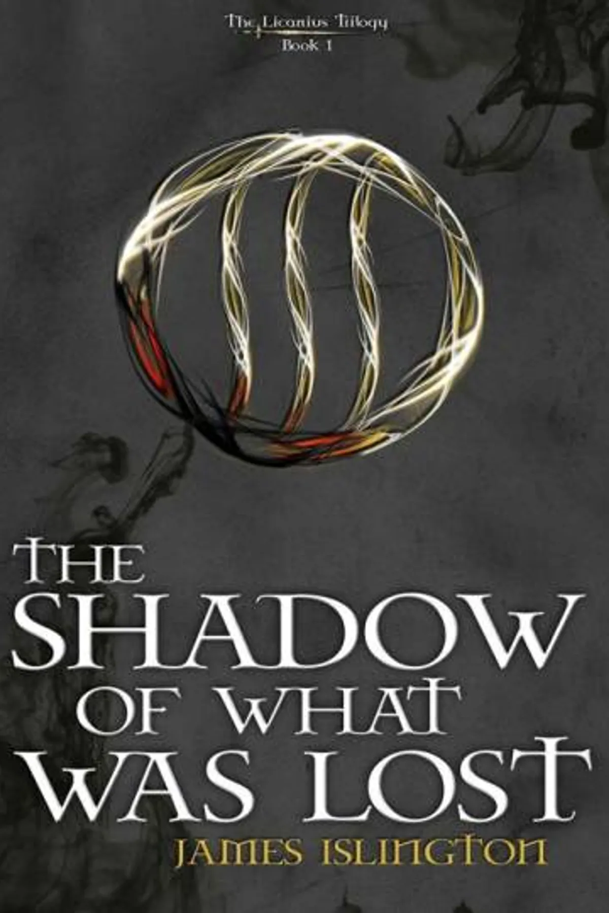 Couverture de « The Shadow of What Was Lost »
