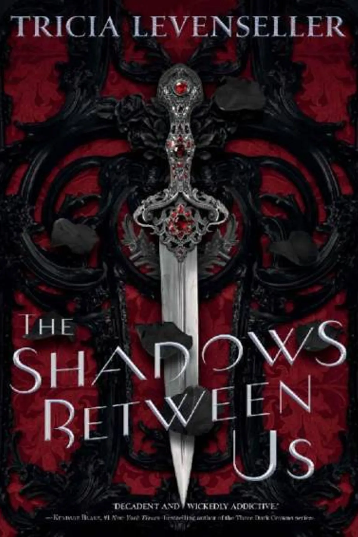 Couverture de « The Shadows Between Us »