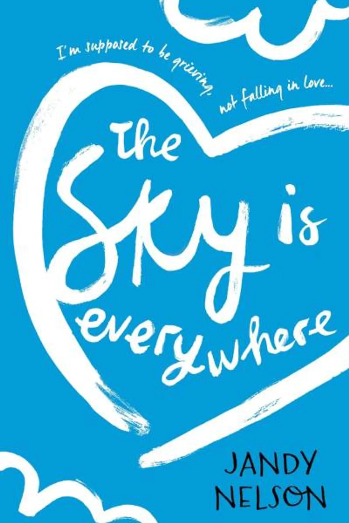 Couverture de « The Sky Is Everywhere »