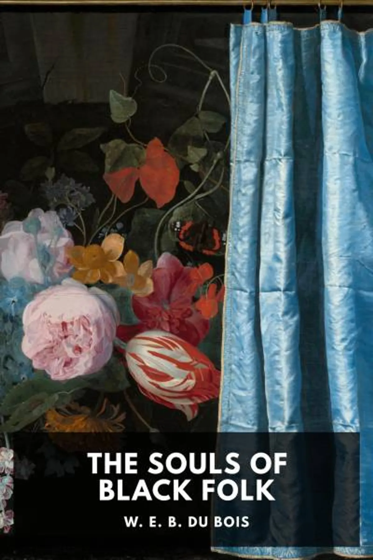 Couverture de « The Souls of Black Folk: Essays and Sketches »