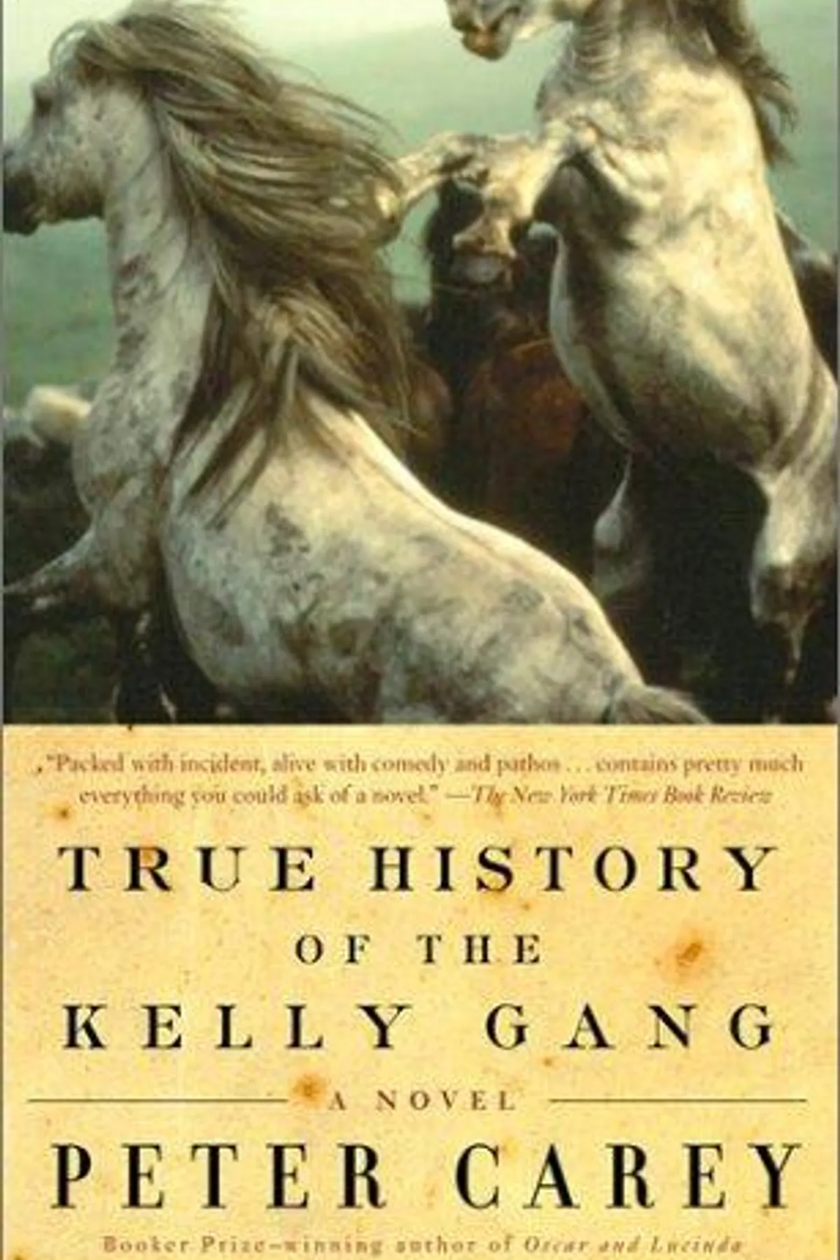 Couverture de « The True History of the Kelly Gang »