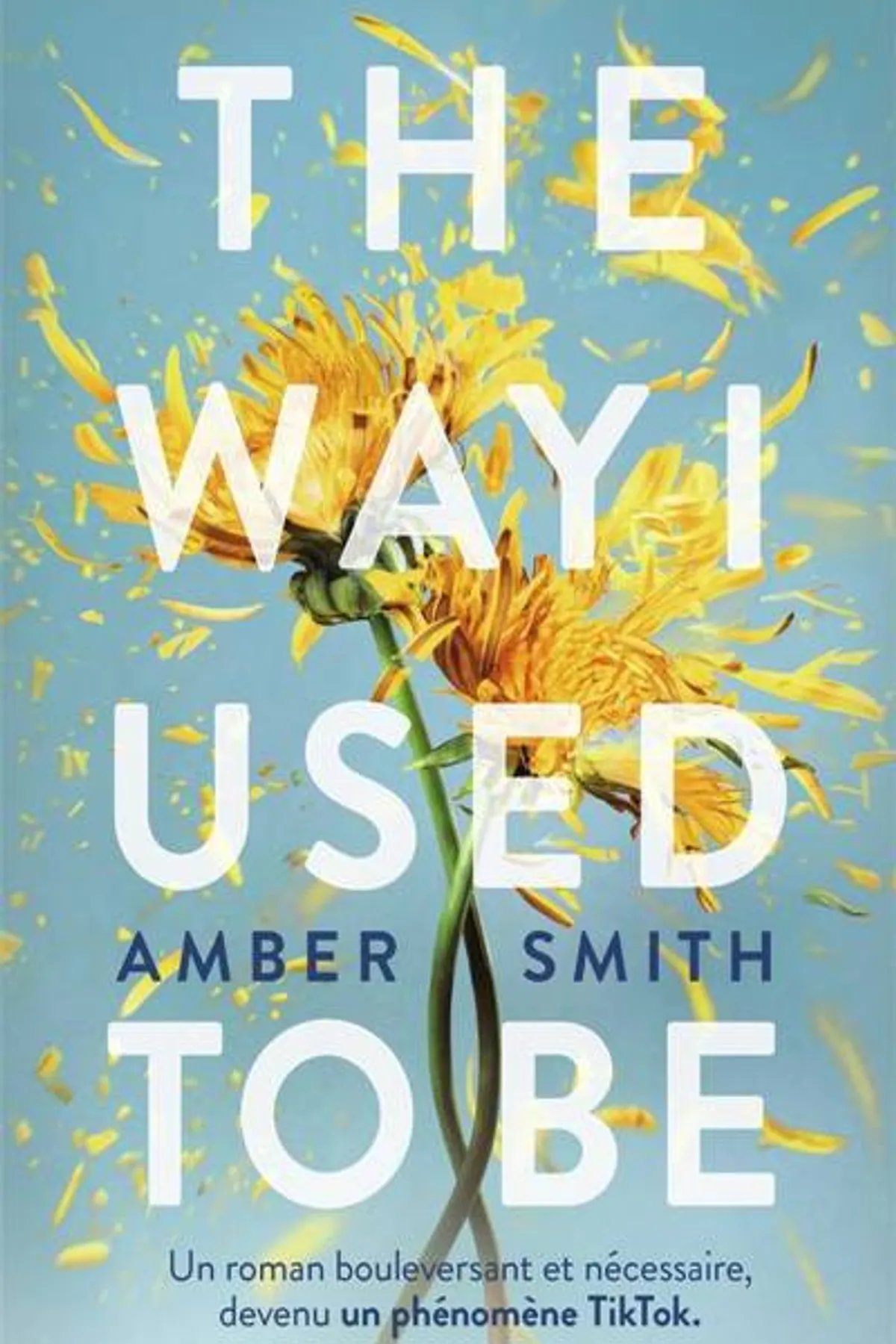 Couverture de « The Way I Used to Be »