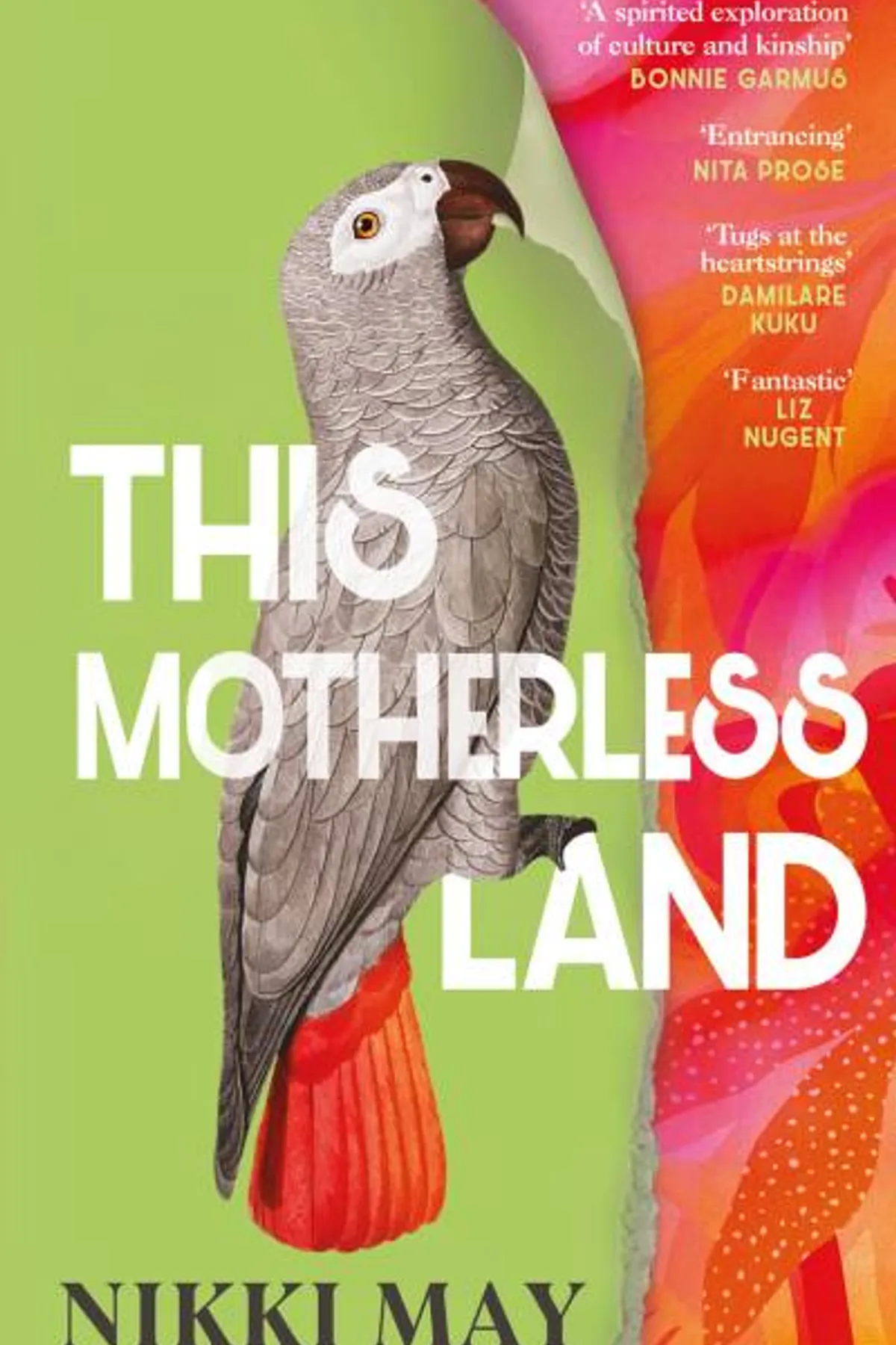 Couverture de « This Motherless Land »