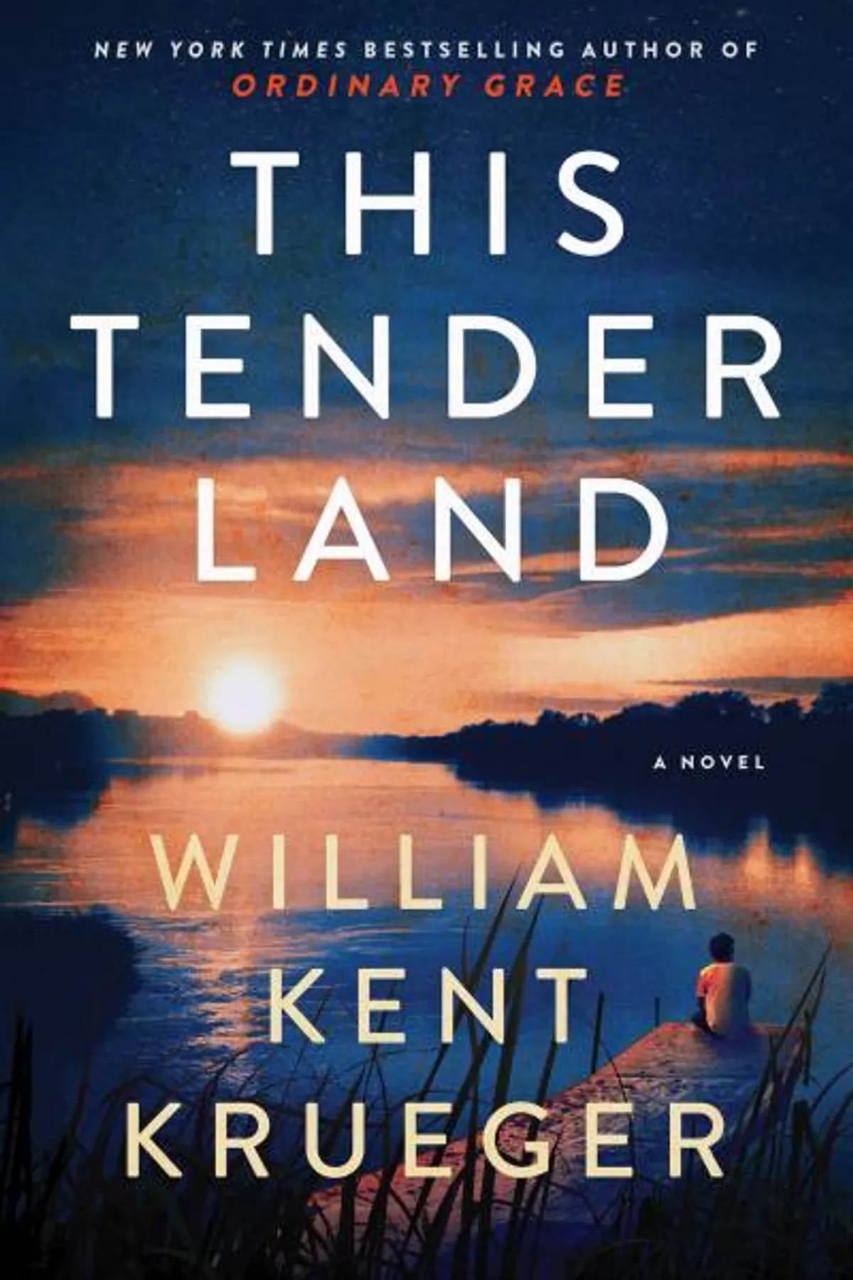 Couverture de « This Tender Land »
