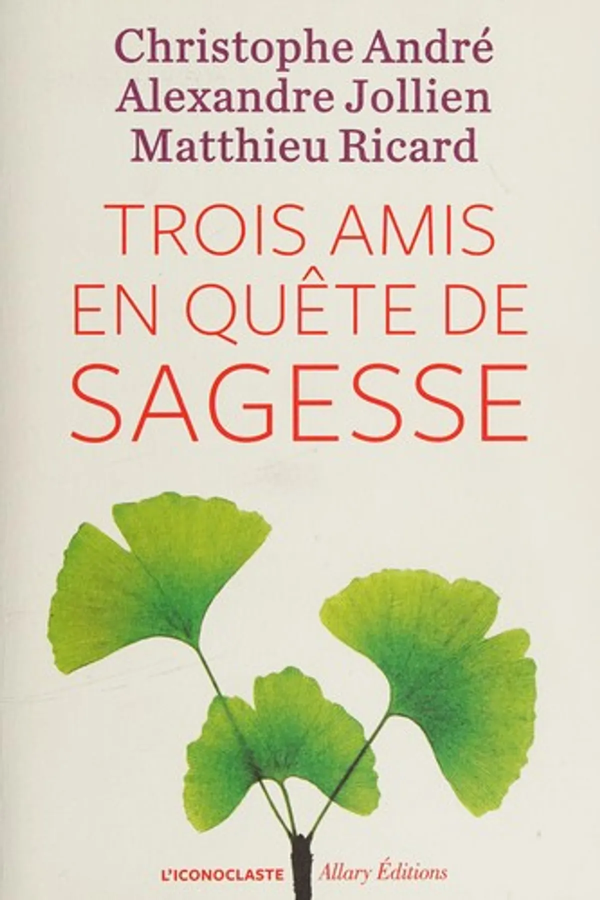 Couverture de « Trois amis en quête de sagesse »