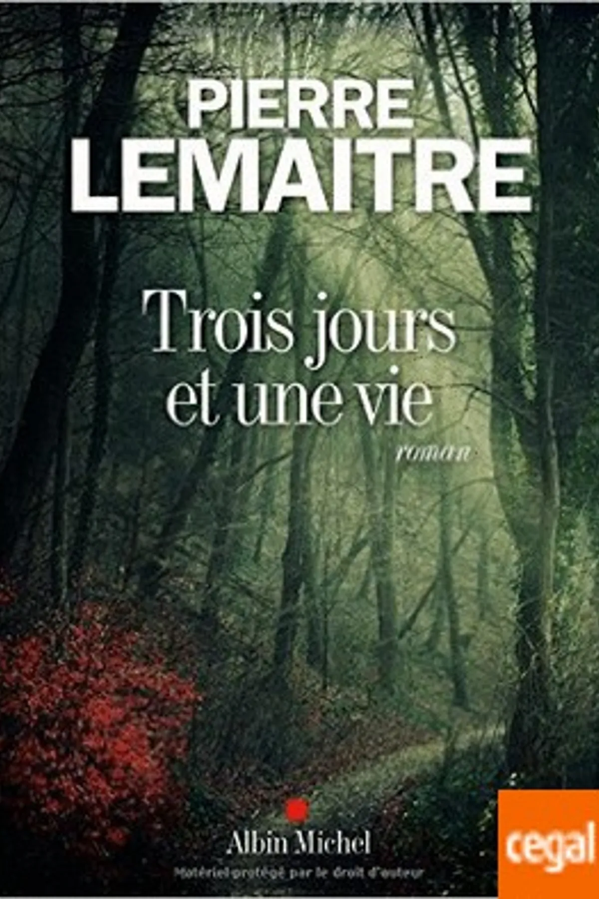 Couverture de « Trois jours et une vie »