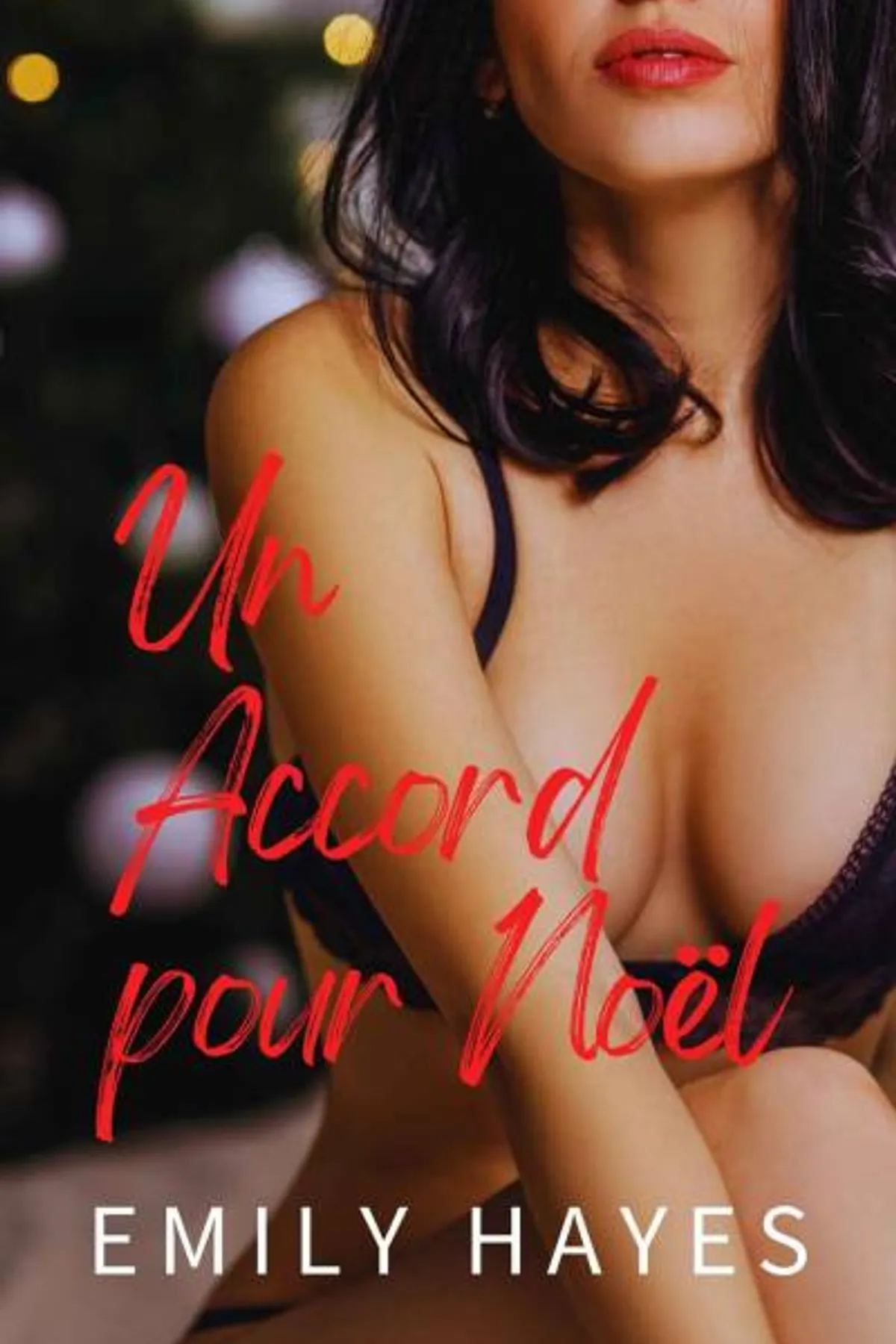 Couverture de « Un accord pour Noël (FF) »