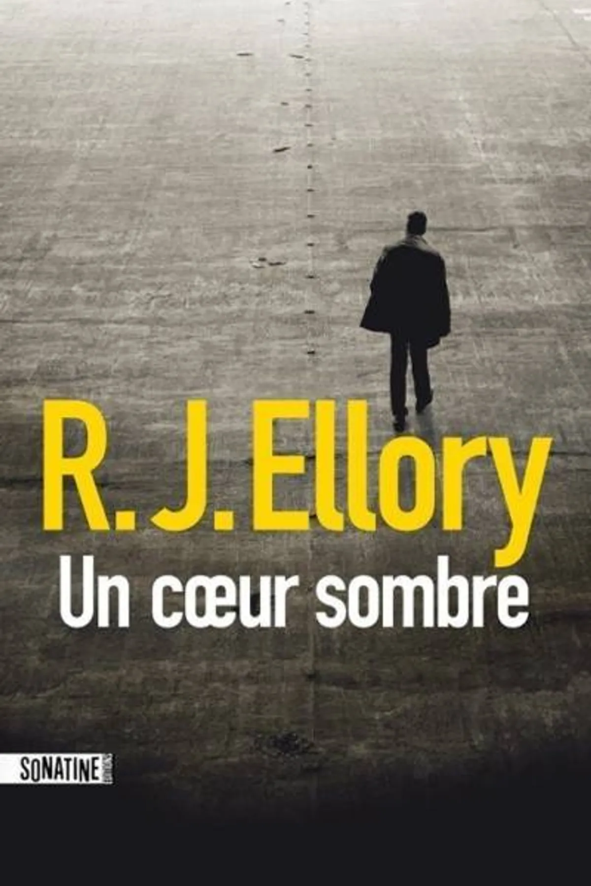 Couverture de « Un coeur sombre »
