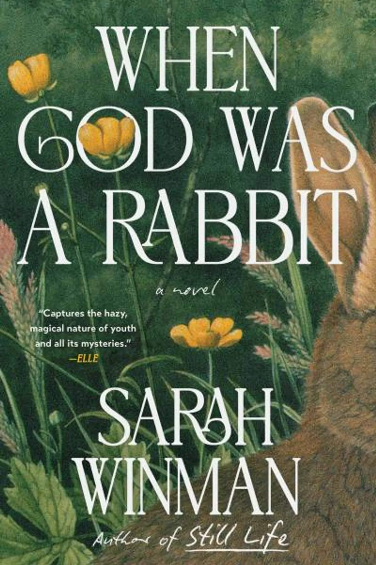 Couverture de « When God Was a Rabbit »
