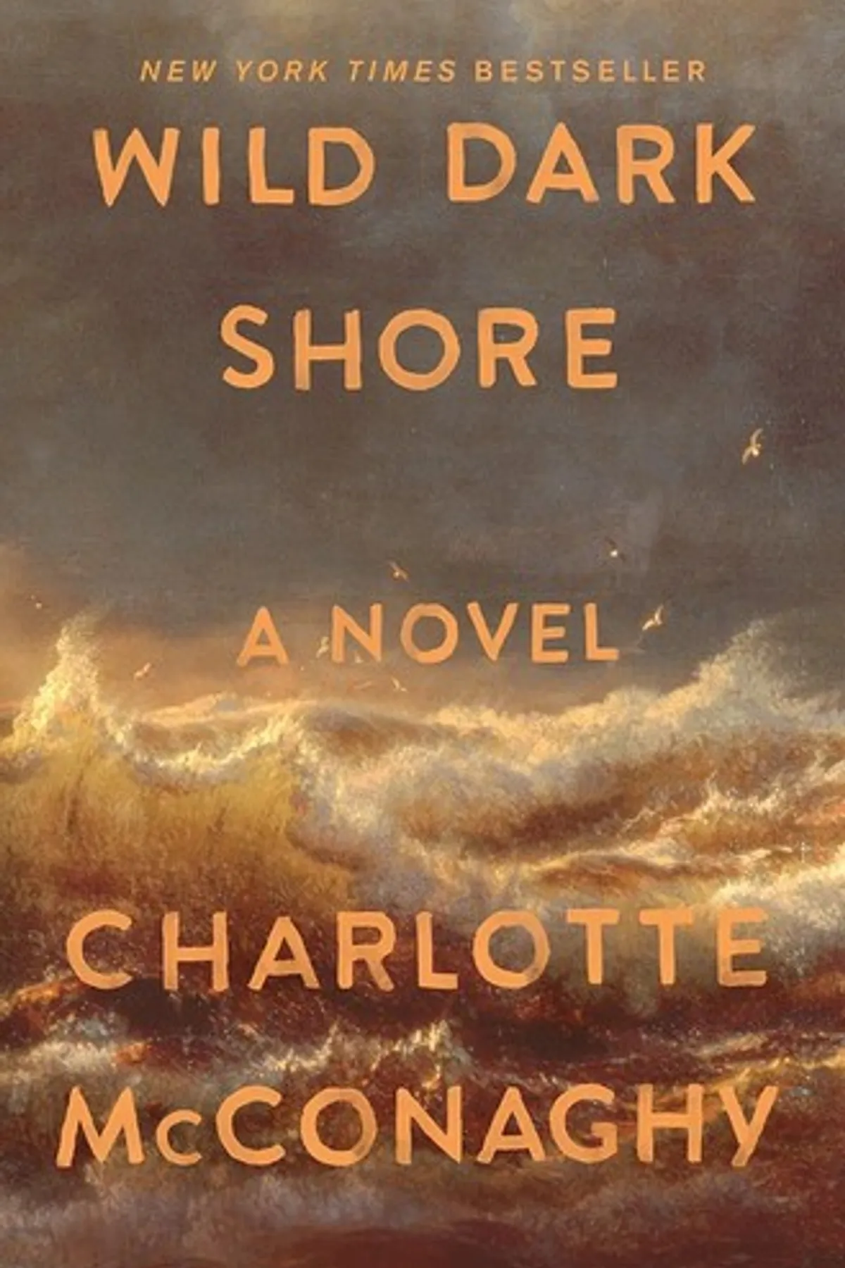 Couverture de « Wild Dark Shore: A Novel »