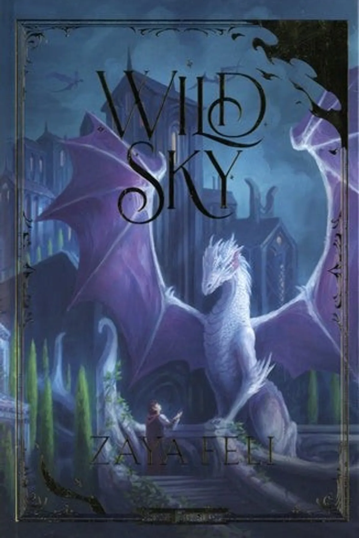 Couverture de « Wild Sky »