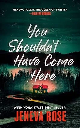 Couverture de « You Shouldn't Have Come Here »