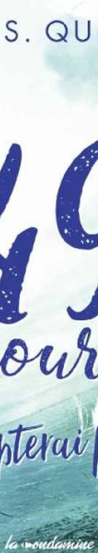 Couverture de 49 jours, je compterai pour toi, C. S. Quill