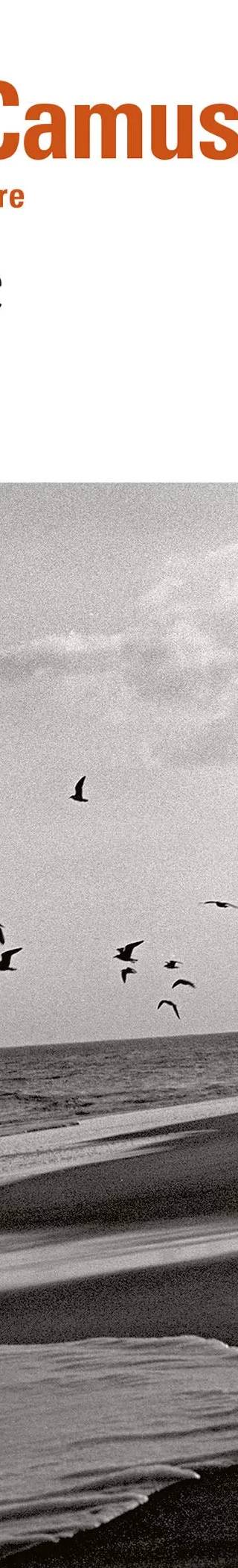 Couverture de La Chute, Albert Camus