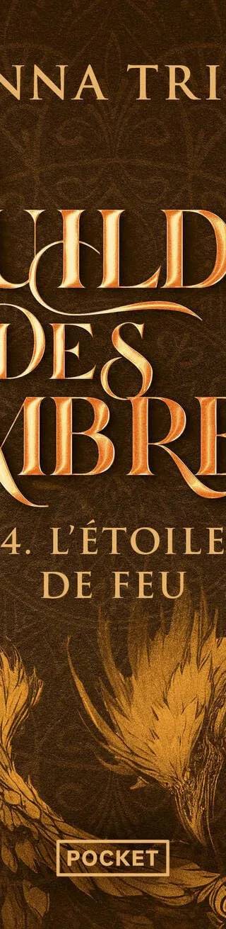 Couverture de La Guilde des Ombres - Tome 4 : L'Étoile de Feu, Anna Triss