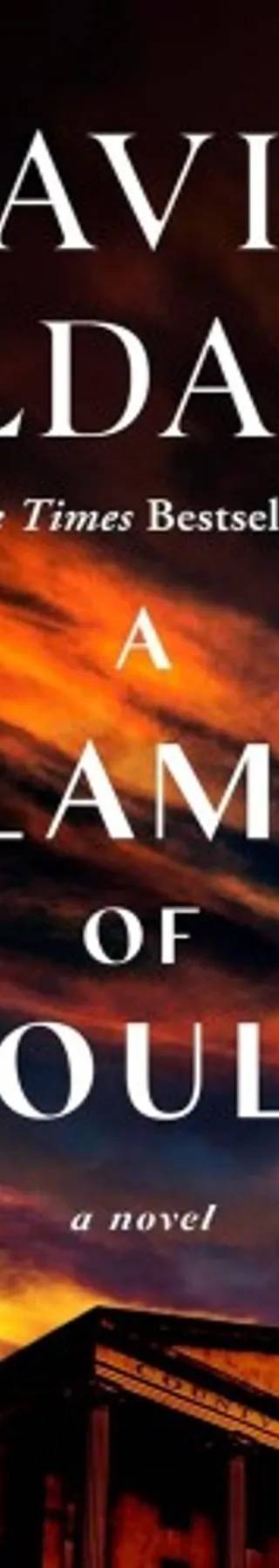 Couverture de A Calamity of Souls, David Baldacci