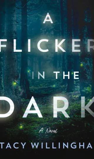 Couverture de A Flicker in the Dark, Stacy Willingham