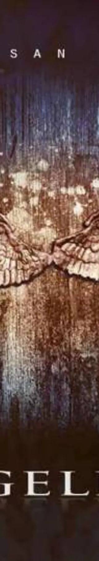 Couverture de Angelfall, Susan Ee