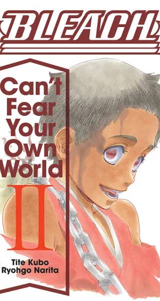 Cover of Bleach: Can't Fear Your Own World, Volume 2 by Tite Kubo, Ryohgo Narita