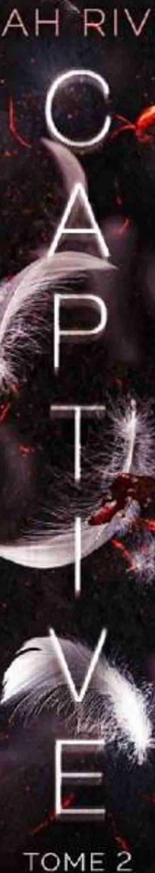 Couverture de Captive - tome 2, Sarah Rivens