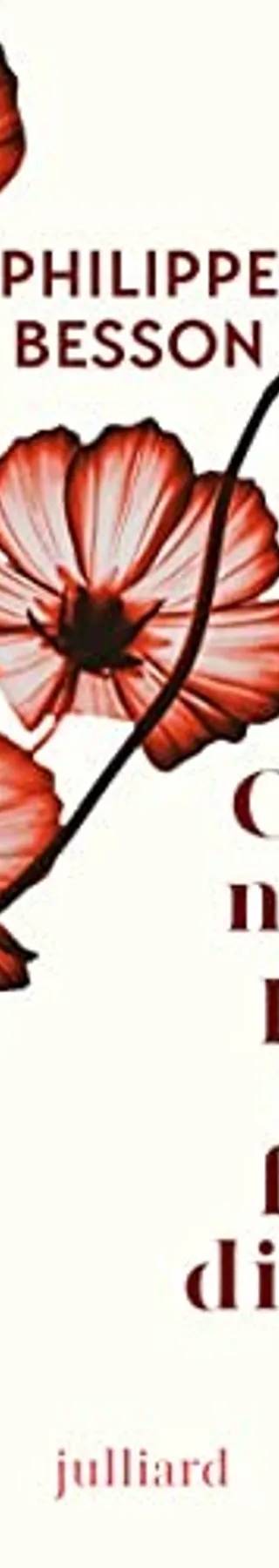 Couverture de Ceci n'est pas un fait divers, Philippe Besson