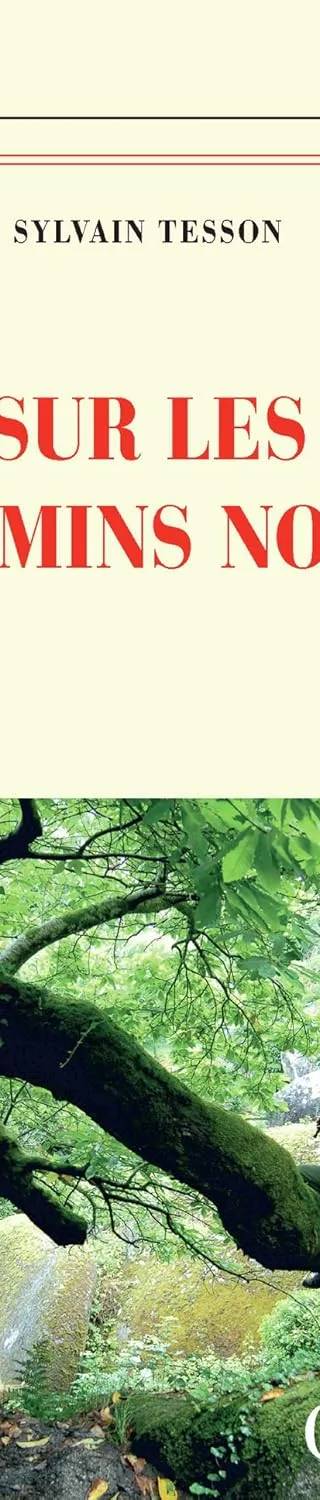 Couverture de Sur les chemins noirs, Sylvain Tesson