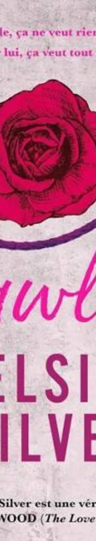 Couverture de Chestnut Springs Tome 1 - Flawless, Elsie Silver