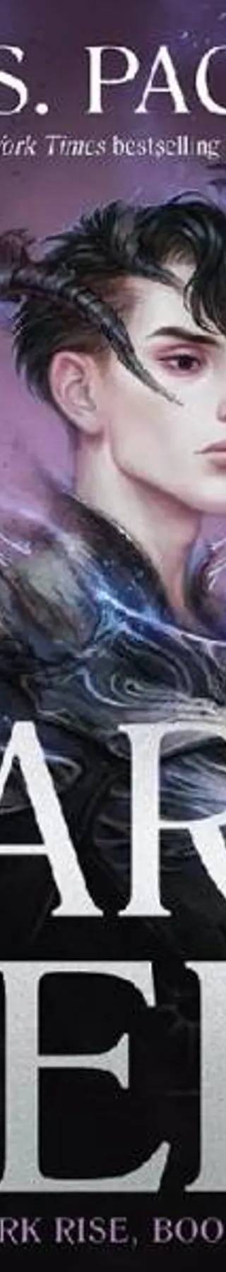 Cover of Dark Heir (Dark Rise 2) by C. S. Pacat