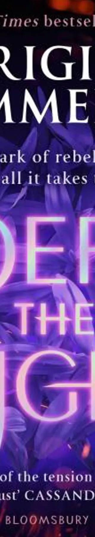 Cover of Defy the Night by Brigid Kemmerer