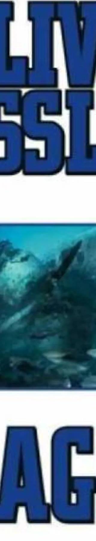 Cover of Dirk Pitt 10 - Dragon by Clive Cussler