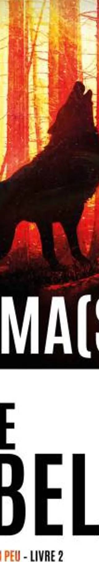 Couverture de Et chaque fois, mourir un peu, Tome 2 : Trauma(s), Karine Giebel
