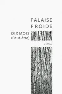 Couverture de « Falaise froide », Meyrac